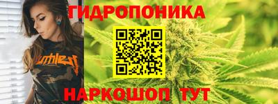 Альфа ПВП Будённовск