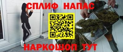 Альфа ПВП Будённовск