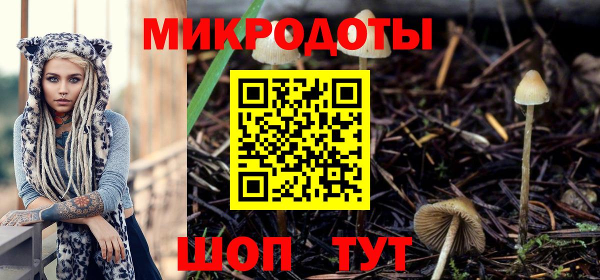 Галлюциногенные грибы Psilocybe  Вход с VPN  Липецк 